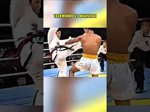 taekwondo vs muaythai#ufc #mma #boxing #tinju #shorts