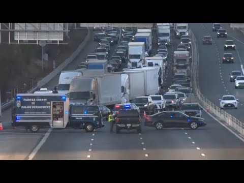 Virginia road rage stabbing leaves woman and dog dead