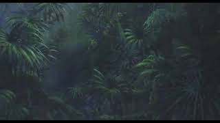 Bob Marley &amp; The Wailers   'Let Him Go' s l o w e d