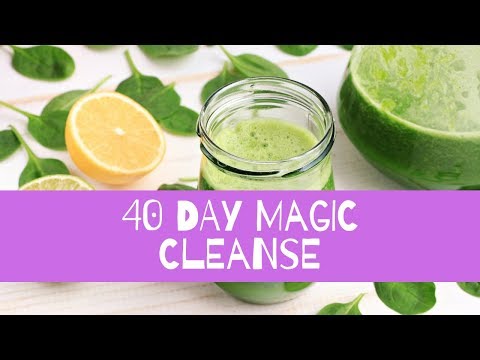 40 DAY MAGIC CLEANSE WITH JAI AND JASON - STARTS OCTOBER 13TH, 2019