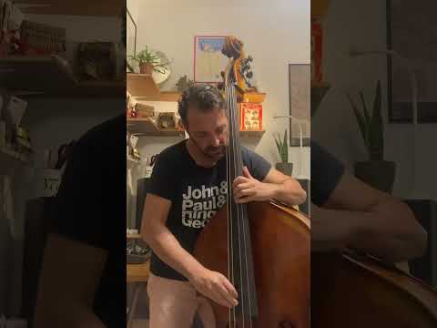 The Beatles on Double Bass | “Please please me” Cover