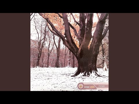 Changes (John O'Callaghan Remix)