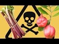 8 Insanely Dangerous Foods That People Actually ...