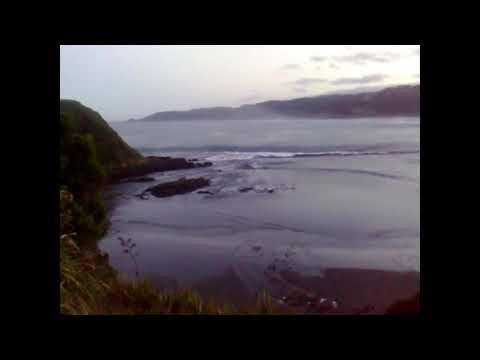 Tsunami hits Chan-Chan, Los Ríos, Chile