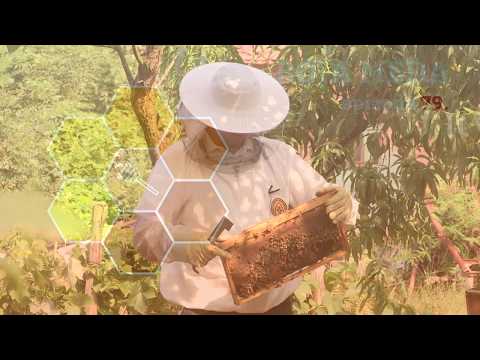 Boja meda ep. 79 10.09.2019. NAJAVA