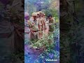 World Forest Day Whatsapp Status