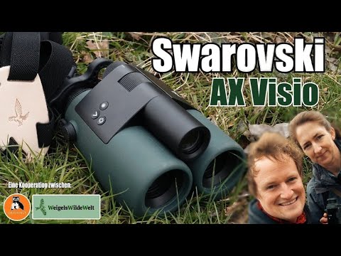 Swarovski AX Visio - AI binoculars of superlatives tested | @Orniwelt and WWW #nature #birds