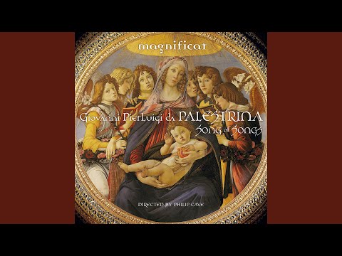 Nigra sum sed formosa