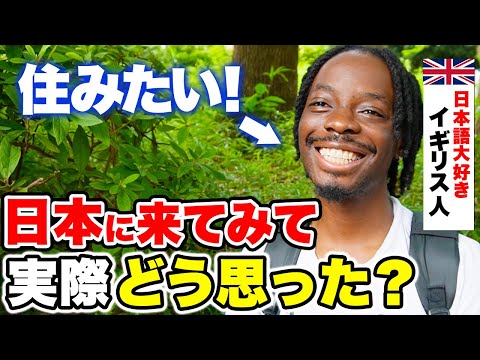 国際教養学科 「日本には○○が多い！」外国人が語る日本の印象が独特だった！｜外国人観光客にインタビュー｜Youは何しに日本へ？