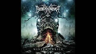 Borknagar - Terminus