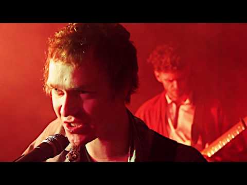 Jellephant - TV (Official Video)