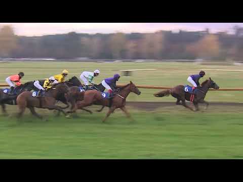 Dostihy Lysá nad Labem 11. 11. 2023 - 2. dostih - Cena Hřebčína Vlachovice