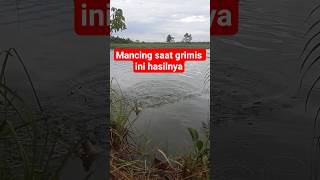 Download lagu mancing saat hujan rintik#mancingikan#ikanmujaer#sungai#kali#petualangmancing mp3 Download lagu mancing saat hujan rintik#mancingikan#ikanmujaer#sungai#kali#petualangmancing mp3
