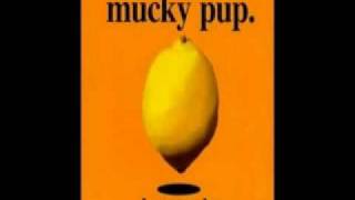 Mucky Pup - Mountain Song