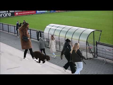 SC Feijenoord vs Jodan Boys op15 okt 2022