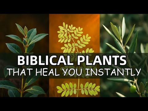 15 Biblical Plants That Will Heal You Instantly