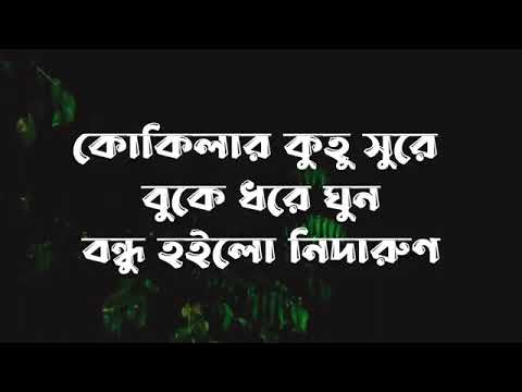 amar ki sukhe jay din rojoni lyrics   Habib ft Kaya