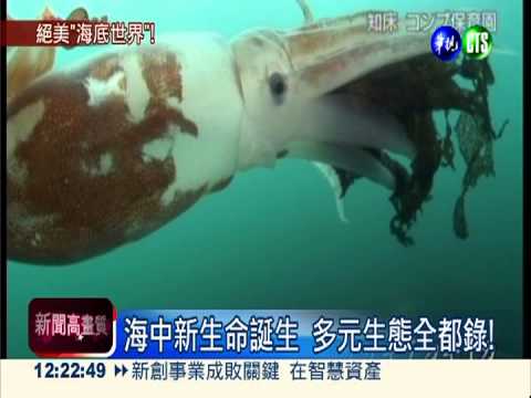 世遺知床半島 海洋生態多元豐富
