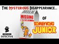What Exactly Happened To Donkey Kong Jr