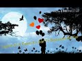 Tu Mera Tu Mera Hero No 1 Song Of Whatsapp Status