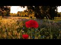 Acha lizame - nandy ft harmonize (Official video)
