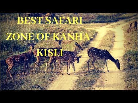 download lagu mp3 mp4 Kanha National Park Zones, download lagu Kanha National Park Zones gratis, unduh video klip Kanha National Park Zones