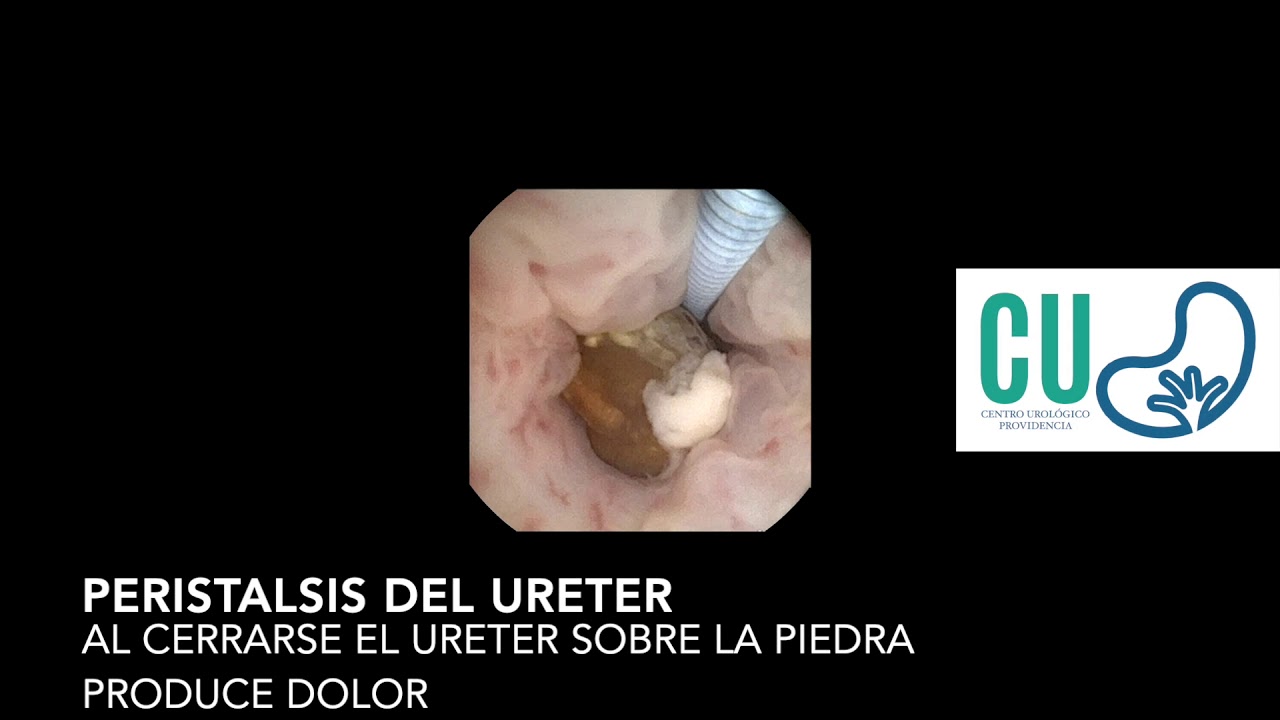 Francisco Gómez Regalado-9