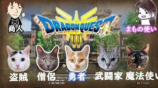 #21【ドラクエ3】大魔王に挑戦します…こんなに弱いのに倒せるかなぁ？【ゆ:99 と:62 け:47 ぶ:58】