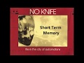 NO KNIFE - Short Term Memory - lyrics