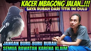 Download lagu AWAS, JANGAN BURU-BURU ‼️ KACER MBAGONG JALAN ⁉️ SAYA RUBAH DARI TITIK INI DULU mp3 Download lagu AWAS, JANGAN BURU-BURU ‼️ KACER MBAGONG JALAN ⁉️ SAYA RUBAH DARI TITIK INI DULU mp3
