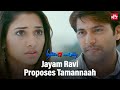 Tamannaah Asks Help From Jayam Ravi Thillalangadi Tamil Movie Santhanam Sun NXT