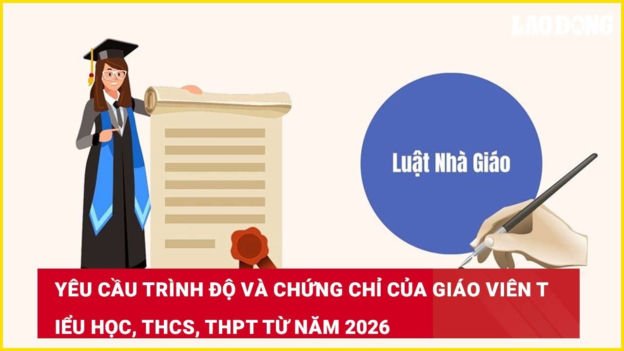 Yêu cầu trình độ và chứng chỉ của giáo viên tiểu học, THCS, THPT từ năm 2026
