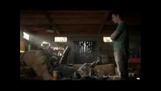 Wilfred Funnies Season 3