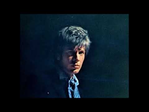 Loss of Love(Theme from Sunflower)★Scott Walker