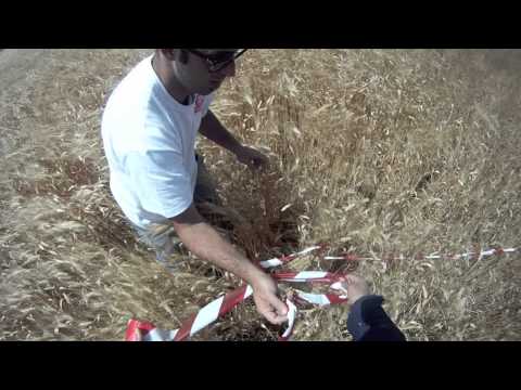 Sicily Music Village 2013  pushing southsicily.it