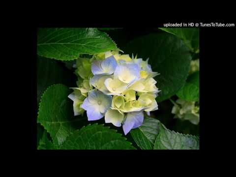 AGIM E NAIM BUZHALA-SHABAN POLLUZHA 2016- RZ