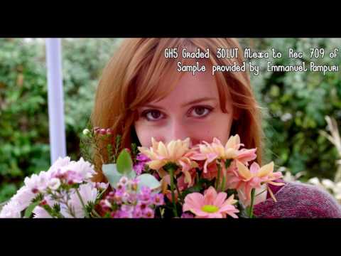 POMAN GRADED GH5 4K CLIP Apple ProRes 422 HQ