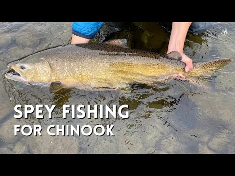 The River Beast! Spey Fishing For Chinook Salmon In Campbell River