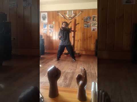 Bill Jee or Third Form of Yip Man traditional Wing Chun with a twist of Gulao Wing Chun