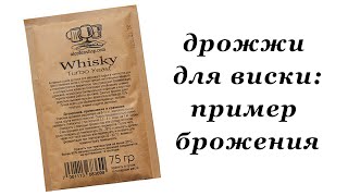 Спиртовые дрожжи Turbo Whisky (75 грамм)