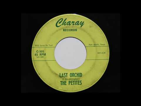 The Petites - Last Orchid (Charay 305)