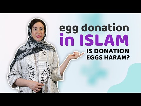 Egg Donation in Islam: Is it Halal or Haram? Expert Opinions from Shia and Sunni Scholars #islamic