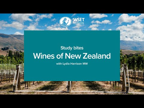 Study bites: wines of New Zealand (WSET Level 3 wine)