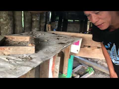 MOTHER EARTH LITTLE FARM || MARIBETH FARM