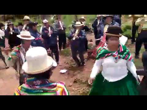 Carnaval 2020 Tarqueada Union Alianza