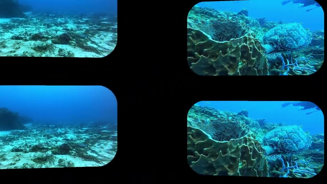 Cozumel Underwater: 4K Diving Excellence 🐠