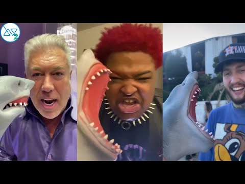 New Shark Puppet TikTok Videos Compilation July 2021 | Best Shark Puppet videos (W/Tittles)
