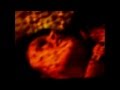 Tindersticks - Frozen (unofficial video)