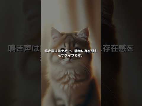 セレンディピティ