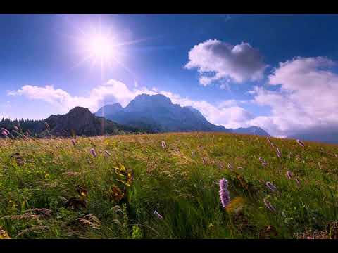 Velinka Grgurević   Svadili se orli i sokoli